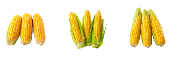 AI generated corn on the cob png