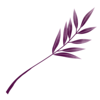 acuarela hojas clipart png