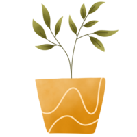 Cute Indoor Plant png