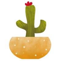 Cute Indoor Plant png