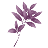 acuarela hojas clipart png