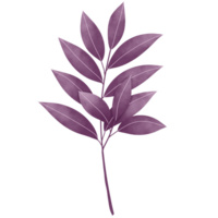 acuarela hojas clipart png