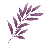 acuarela hojas clipart png