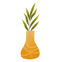 Cute Indoor Plant png