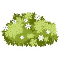 buisson avec fleurs illustration png