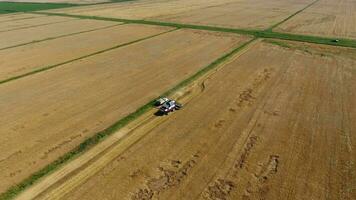 Harvesting barley harvesters. Fields of wheat and barley, the work of agricultural machinery. Combine harvesters and tractors photo