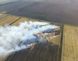 Burning straw in the fields after harvesting wheat crop photo