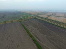 Burning straw in the fields after harvesting wheat crop photo