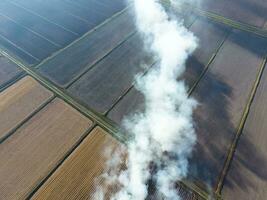 el ardiente de arroz Paja en el campos. fumar desde el ardiente de arroz Paja en cheques fuego en el campo foto