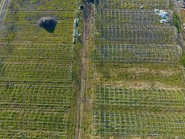 Frameworks of greenhouses, top view. Construction of greenhouses in the field. Agriculture, agrotechnics of closed ground photo