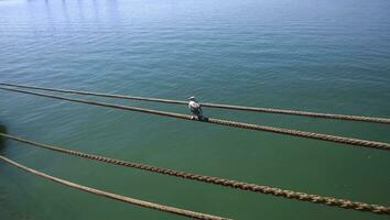 Seagull sitting on mooring ropes. Birds of the sea bay photo