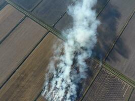 Burning straw in the fields after harvesting wheat crop photo