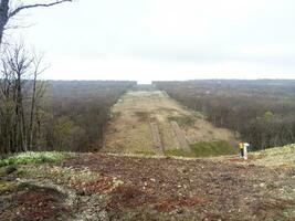 A clearing in the forest for the gas pipeline photo