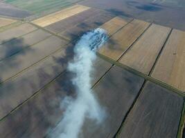 Burning straw in the fields after harvesting wheat crop photo