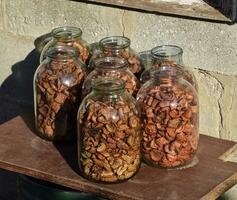 Dried fruits in the three-liter jar. Dried apples, cut into slic photo