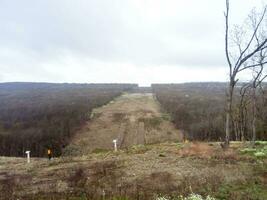 A clearing in the forest for the gas pipeline photo