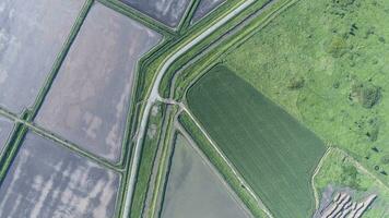 The top view of the wheat field and the plowed field under Fig. Shooting from a drone. photo