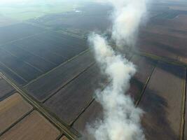 Burning straw in the fields after harvesting wheat crop photo