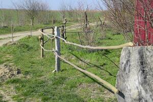 Wooden fence of two crossbars to protect trees photo