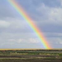 Rainbow, a view of the landscape in the field. Formation of the photo