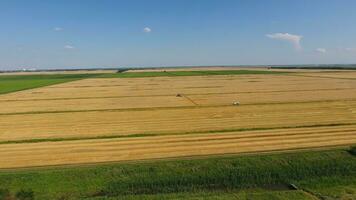 Harvesting barley harvesters. Fields of wheat and barley, the work of agricultural machinery. Combine harvesters and tractors photo