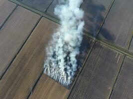 Burning straw in the fields after harvesting wheat crop photo