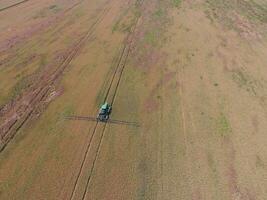 Adding herbicide tractor on the field of ripe wheat. View from above. photo