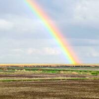 Rainbow, a view of the landscape in the field. Formation of the photo