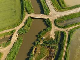 The rice fields are flooded with water. Flooded rice paddies. Agronomic methods of growing rice in the fields. photo