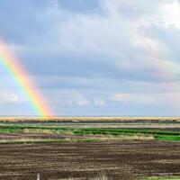 Rainbow, a view of the landscape in the field. Formation of the photo