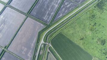 The top view of the wheat field and the plowed field under Fig. Shooting from a drone. photo