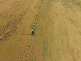 Adding herbicide tractor on the field of ripe wheat. View from above. photo