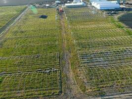 Frameworks of greenhouses, top view. Construction of greenhouses in the field. Agriculture, agrotechnics of closed ground photo