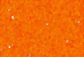 Light Orange vector template with circles.