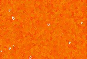 Light Orange vector template with circles.