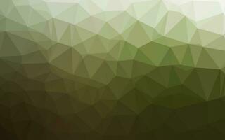 Light Green vector low poly cover.