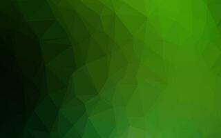 Light Green vector polygon abstract layout.