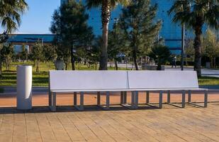 Benches and garbage bin in the park . Batumi. Georgia photo