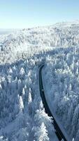 Scenic view of a car driving through the snowy winter mountains on sunny day video