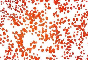 Light Orange vector background with curved circles.