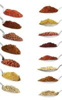 Collection of the spices and grains on spoon photo