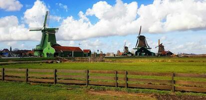 Windmills and houses. Travel in Netherlands photo
