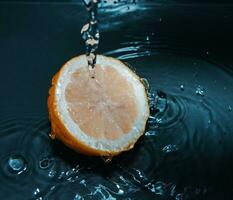 citrus and water photo