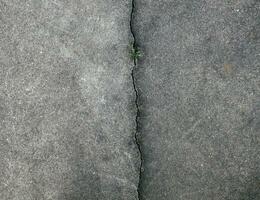 Closeup of the cracks in asphalt photo