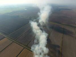 Burning straw in the fields after harvesting wheat crop photo