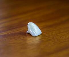 Tooth, metal ceramic crown on the table. Denture made of metal ceramics photo