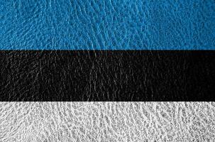 abstract leather texture with the flag photo
