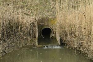 Gateway between the channels of irrigation system rice fields photo