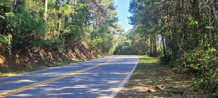 Picturesque journey paved road winding through lush nature. Explore the harmony between infrastructure and natural scenery. Inspire your designs with this captivating image photo