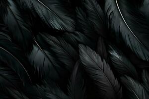 AI generated A background with many black feathers lined up. photo